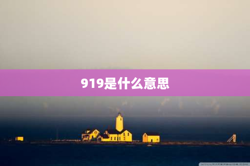 919是什么意思 经济学考研代码819和919有什么区别？