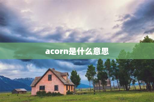 acorn是什么意思 croan能组成什么单词？