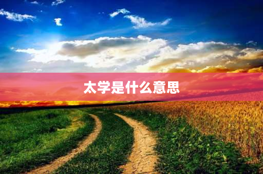 太学是什么意思 什么是“太学博士”？