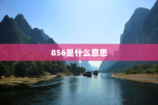 856是什么意思 三点水再加一个木是什么字？