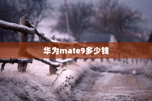 华为mate9多少钱 华为mate9几年产的？