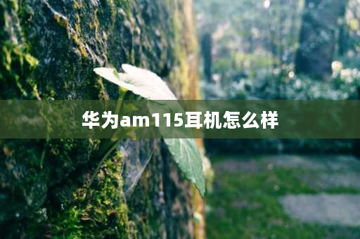 华为am115耳机怎么样 华为am115耳机魅族手机可以用么？