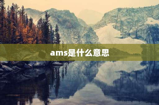 ams是什么意思 飞机钻上面的AMS是什么意思？