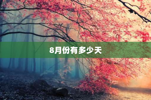 8月份有多少天 8年有多少个月？