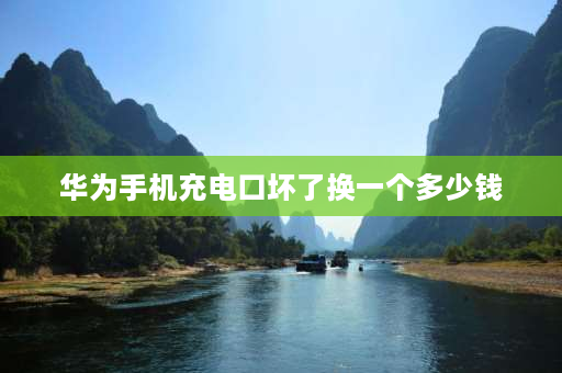 华为手机充电口坏了换一个多少钱 华为畅享10充电口坏了？