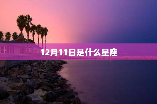 12月11日是什么星座 05年12月11日什么座？