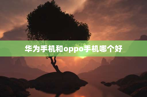 华为手机和oppo手机哪个好 Oppo和华为哪个更好？