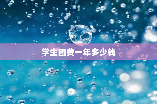 学生团费一年多少钱 共青团团费一年到底该交多少？