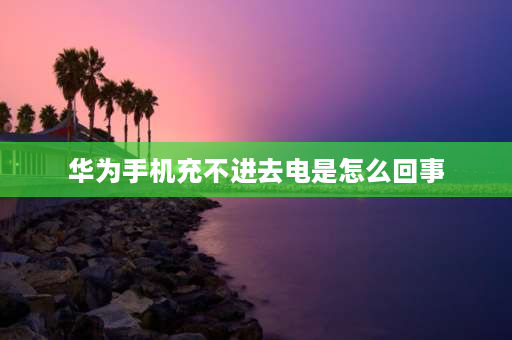 华为手机充不进去电是怎么回事 华为手机冲不进去电怎么回事手机充不进电7个小妙招？