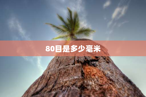 80目是多少毫米 1mm等于多少目？