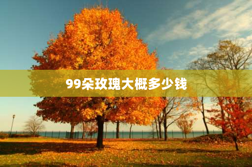 99朵玫瑰大概多少钱 女朋友过生日，99朵玫瑰花需要多少钱？