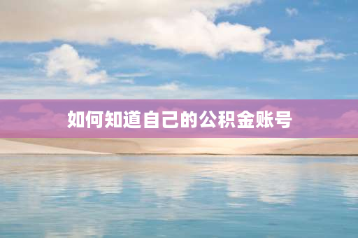 如何知道自己的公积金账号 请问下，自己的公积金账号（9或者12位数字的个人账号）如何查询到？