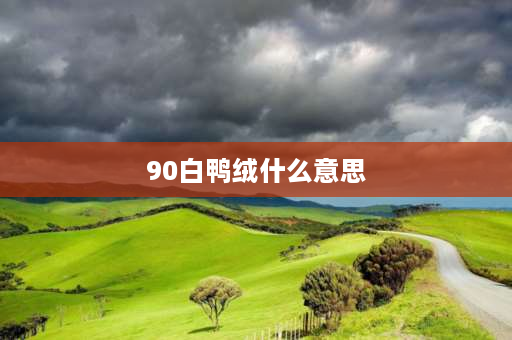 90白鸭绒什么意思 90白鸭绒10羽毛是什么意思？