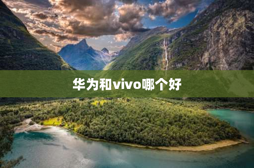 华为和vivo哪个好 华为和vivo哪个好？