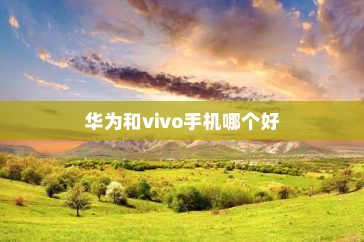 华为和vivo手机哪个好 荣耀手机和vivo手机哪个好？