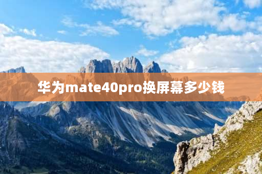 华为mate40pro换屏幕多少钱 mate40pro有国产屏幕换吗？