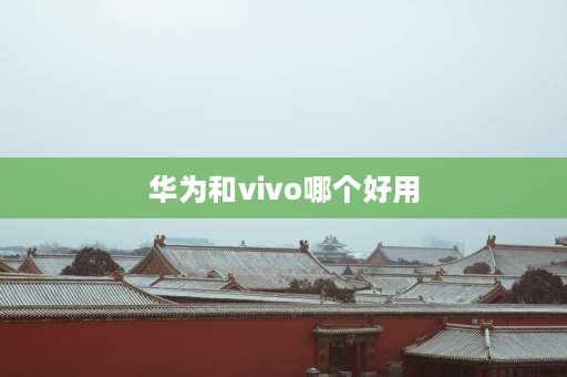 华为和vivo哪个好用 vivo和华为哪个质量好？