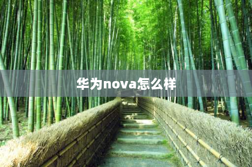 华为nova怎么样 2023华为nova10值得买吗？