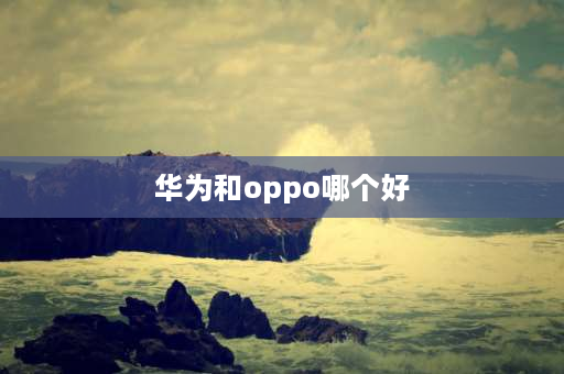 华为和oppo哪个好 华为和oppo哪个好？