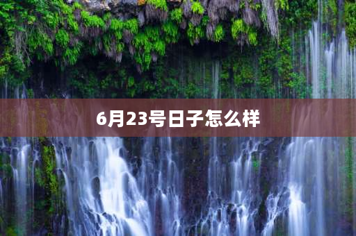 6月23号日子怎么样 2021年六月有几个定日？