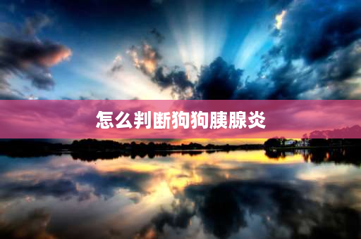 怎么判断狗狗胰腺炎 狗狗得了胰腺炎吃了东西就吐怎么办会不会有生命危险？