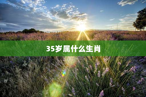 35岁属什么生肖 35岁是几年几月生的呀？