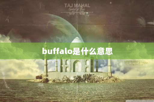 buffalo是什么意思 bf是什么地方？