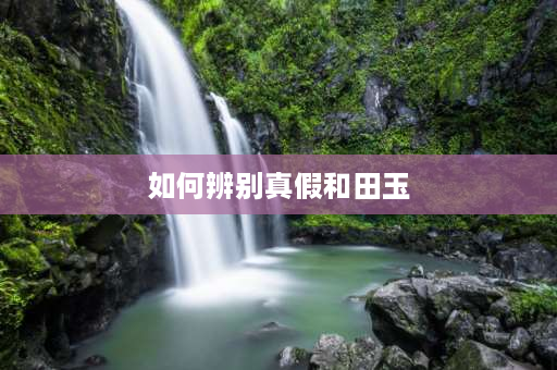 如何辨别真假和田玉 你知道怎么区别真假和田玉吗？ 