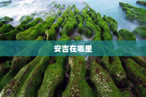 安吉在哪里 浙江湖州在什么位置？