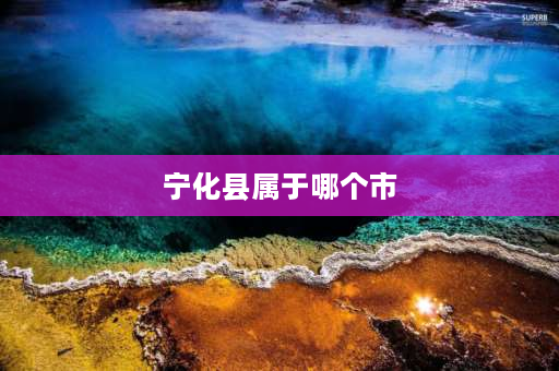 宁化县属于哪个市 位于福建省中西部的什么市是我国宁化古杉木王群？