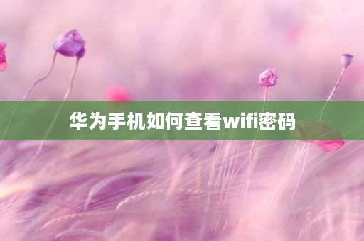 华为手机如何查看wifi密码 华为手机看wifi密码五种方法？