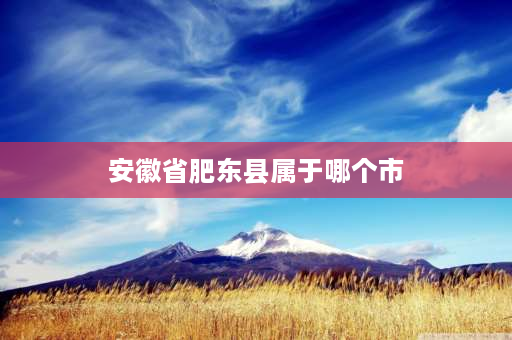 安徽省肥东县属于哪个市 合肥庐阳区属于肥东还是肥西？