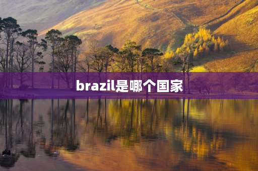 brazil是哪个国家 世界面积第五大国排名？