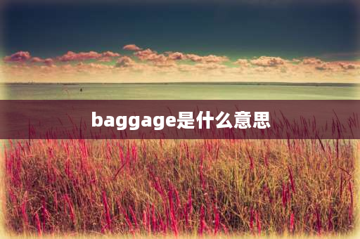 baggage是什么意思 l是哪个字母缩写？