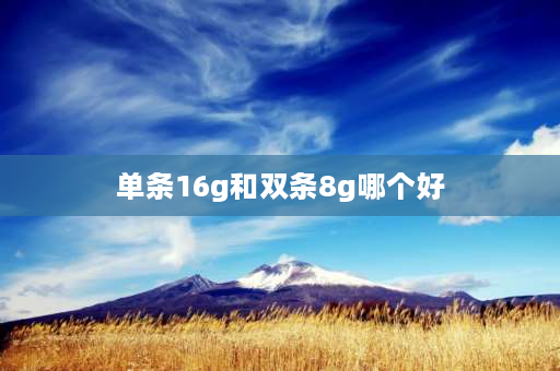 单条16g和双条8g哪个好 电脑内存条8G两根和16G一根有什么区别？