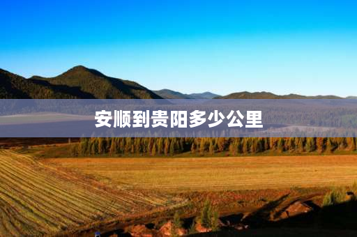 安顺到贵阳多少公里 贵州安顺到广东湛江多少公里？