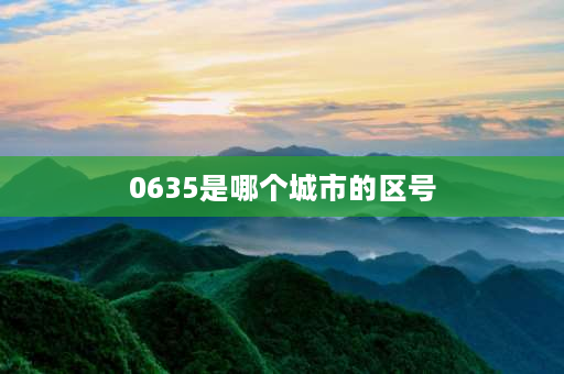 0635是哪个城市的区号 25是山东省的哪个城市的区号？急？