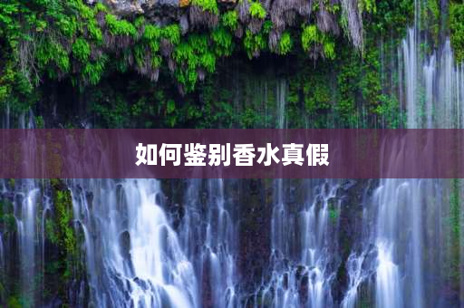 如何鉴别香水真假 5 如何分辨迪奥、香奈儿、范思哲、菲拉格慕香水的真伪？