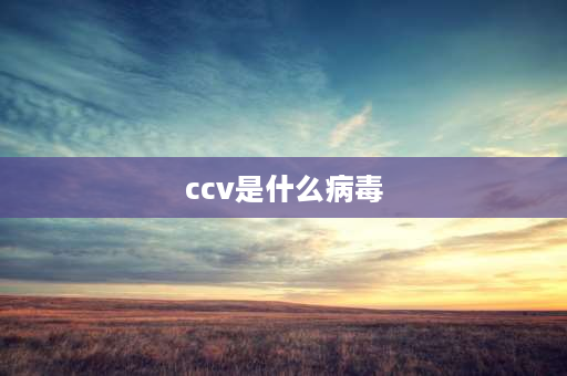 ccv是什么病毒 cchv是什么空调牌子？