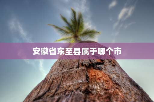 安徽省东至县属于哪个市 安徽318国道全程详细路线？