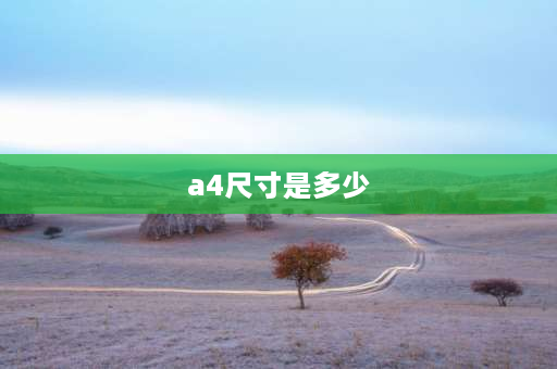 a4尺寸是多少 A4是多大的？