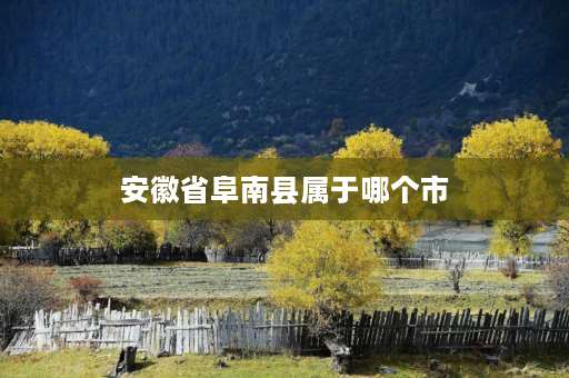 安徽省阜南县属于哪个市 阜南县的历史是什么？