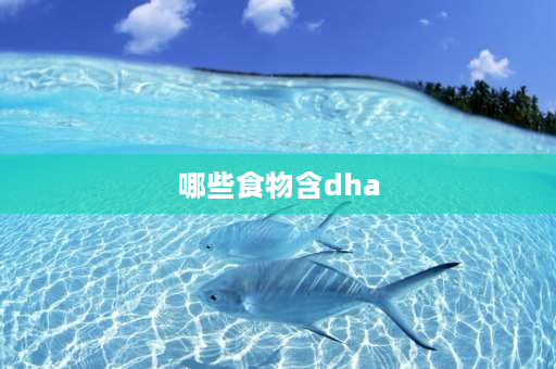 哪些食物含dha DHA存在于哪些食物中？