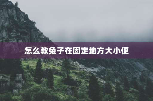 怎么教兔子在固定地方大小便 兔子怎么训练定点大小便？