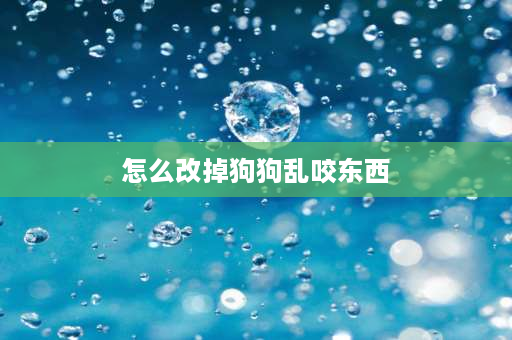 怎么改掉狗狗乱咬东西 两个月小狗喜欢乱咬东西怎么办？