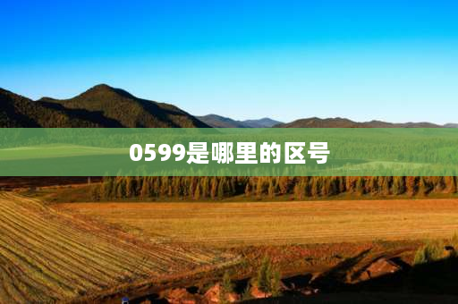 0599是哪里的区号 福建省各个地区的区号？