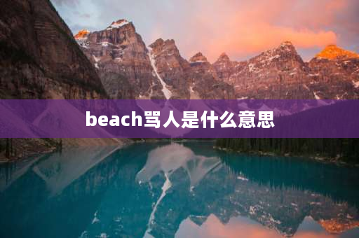 beach骂人是什么意思 庙小妖风大，池浅王八多什么意思？