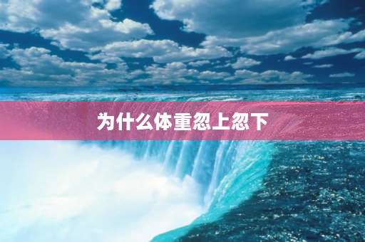 为什么体重忽上忽下 华为减脂秤测出来的脂肪率忽高忽低？