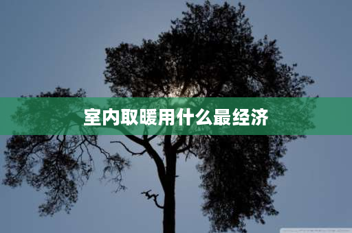 室内取暖用什么最经济 哪种采暖方式最科学、最省钱？