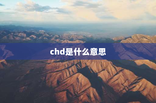 chd是什么意思 荷花淀字词？